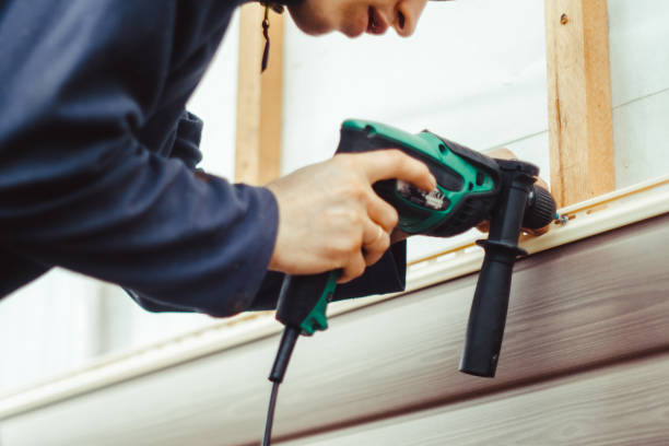 Best Siding Painting and Refinishing  in Dauphin Island, AL